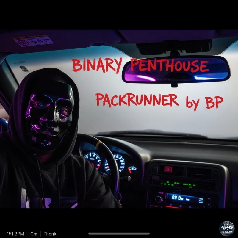 Binary Penthouse