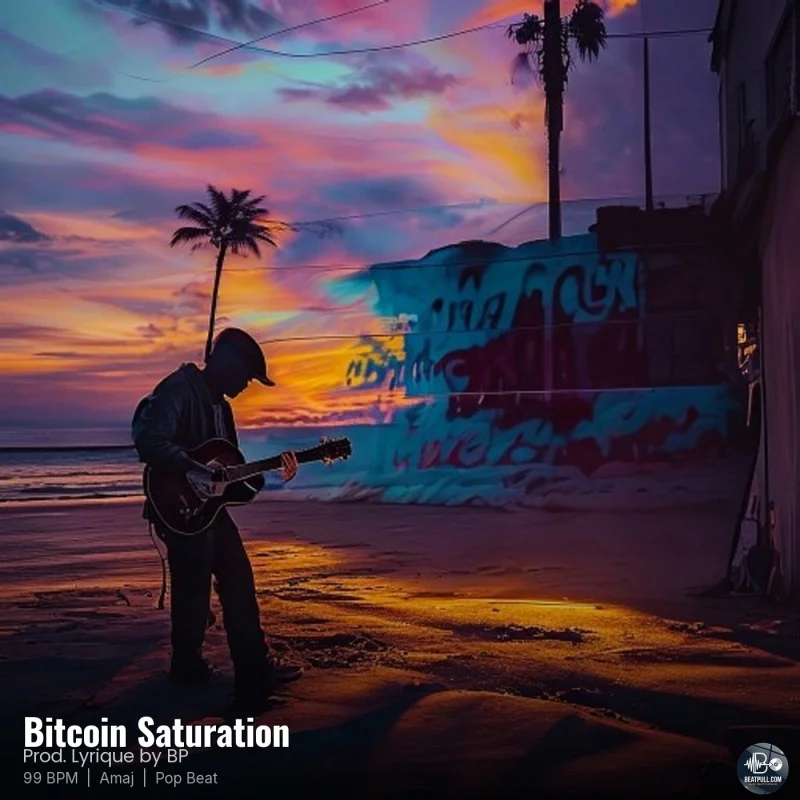 Bitcoin Saturation