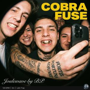 Cobra Fuse