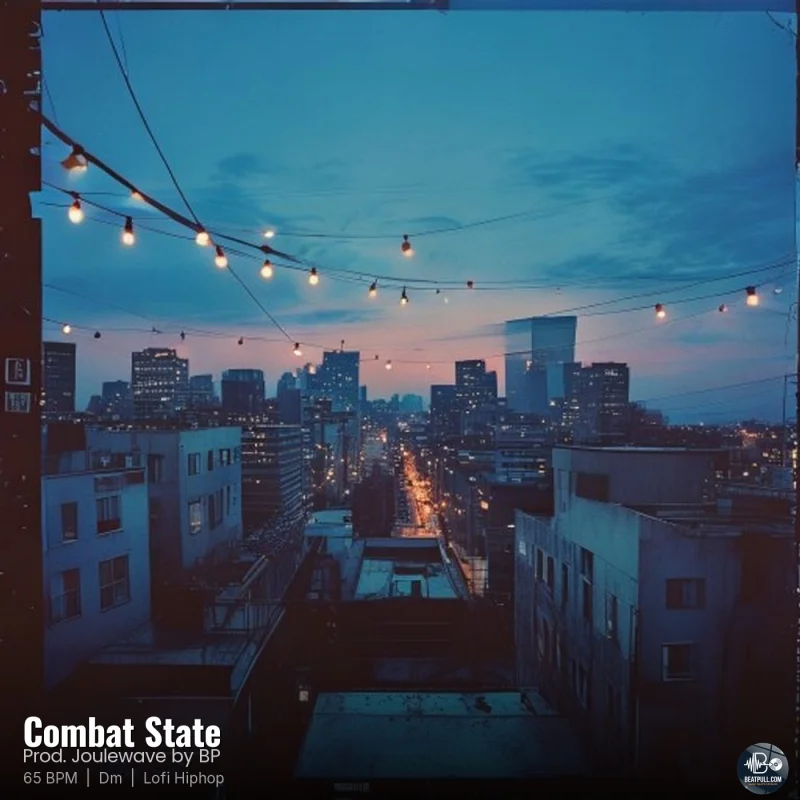 Combat State