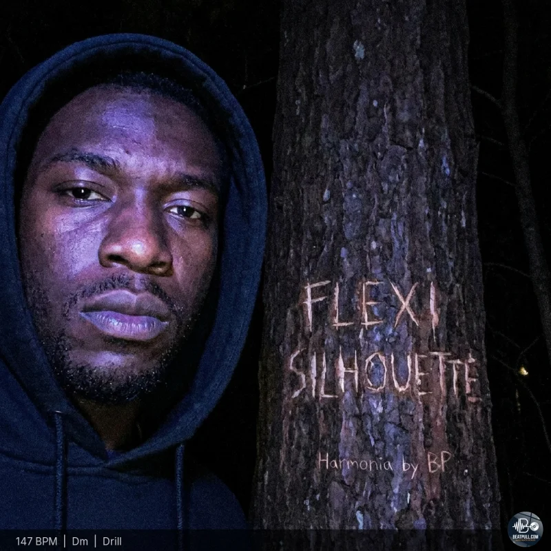 Flexi Silhouette
