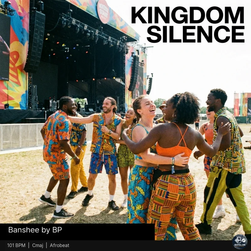 Kingdom Silence