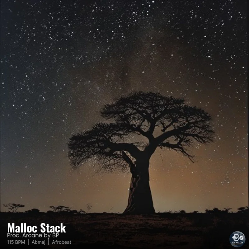 Malloc Stack