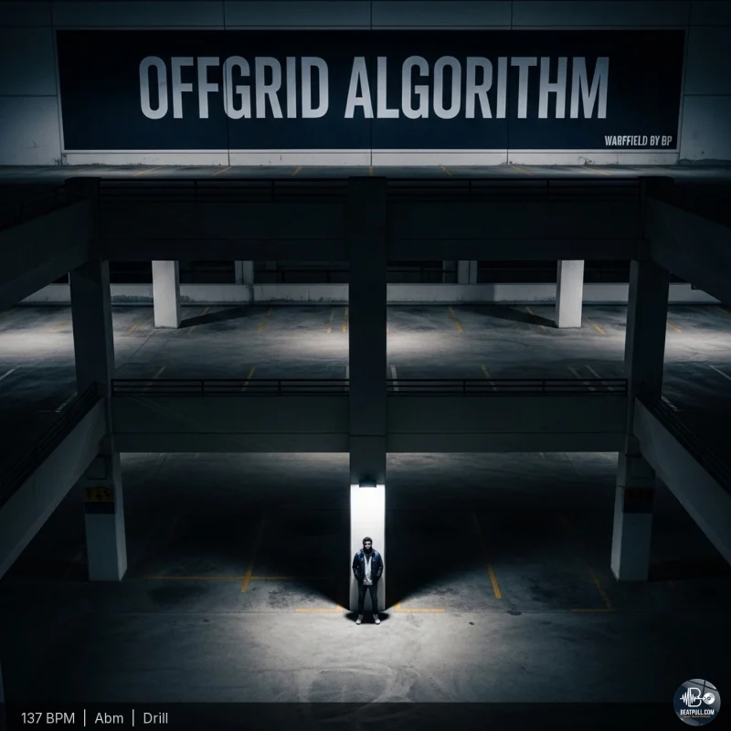 Offgrid Algorithm