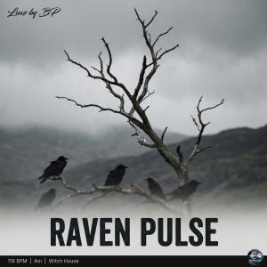Raven Pulse