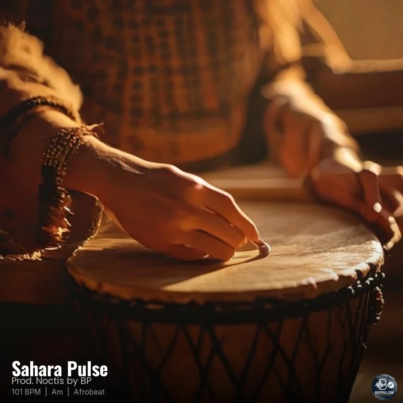 Sahara Pulse