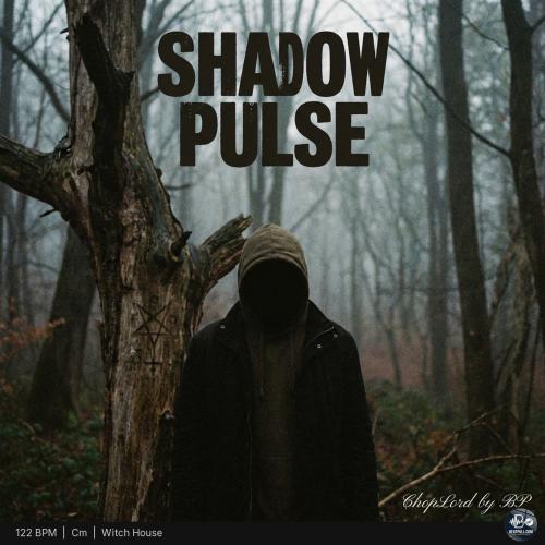 Shadow Pulse