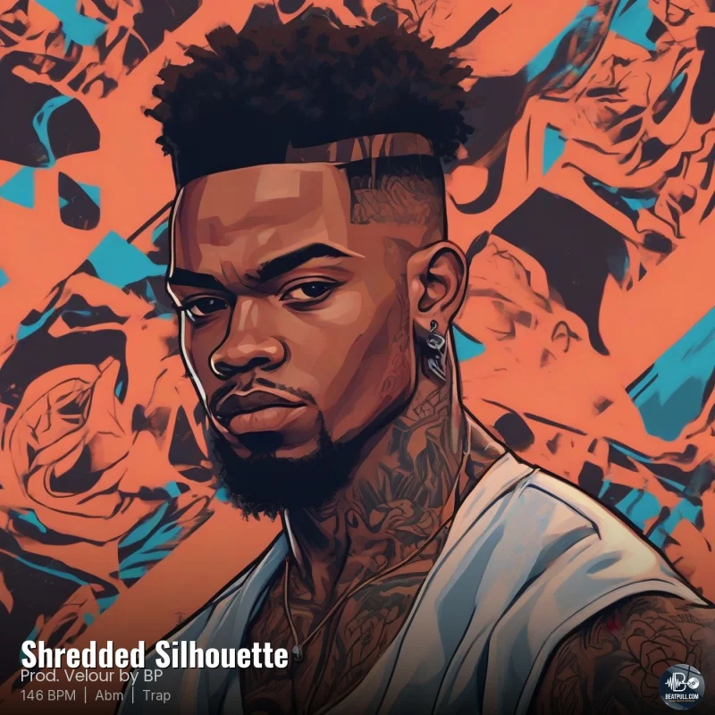 Shredded Silhouette
