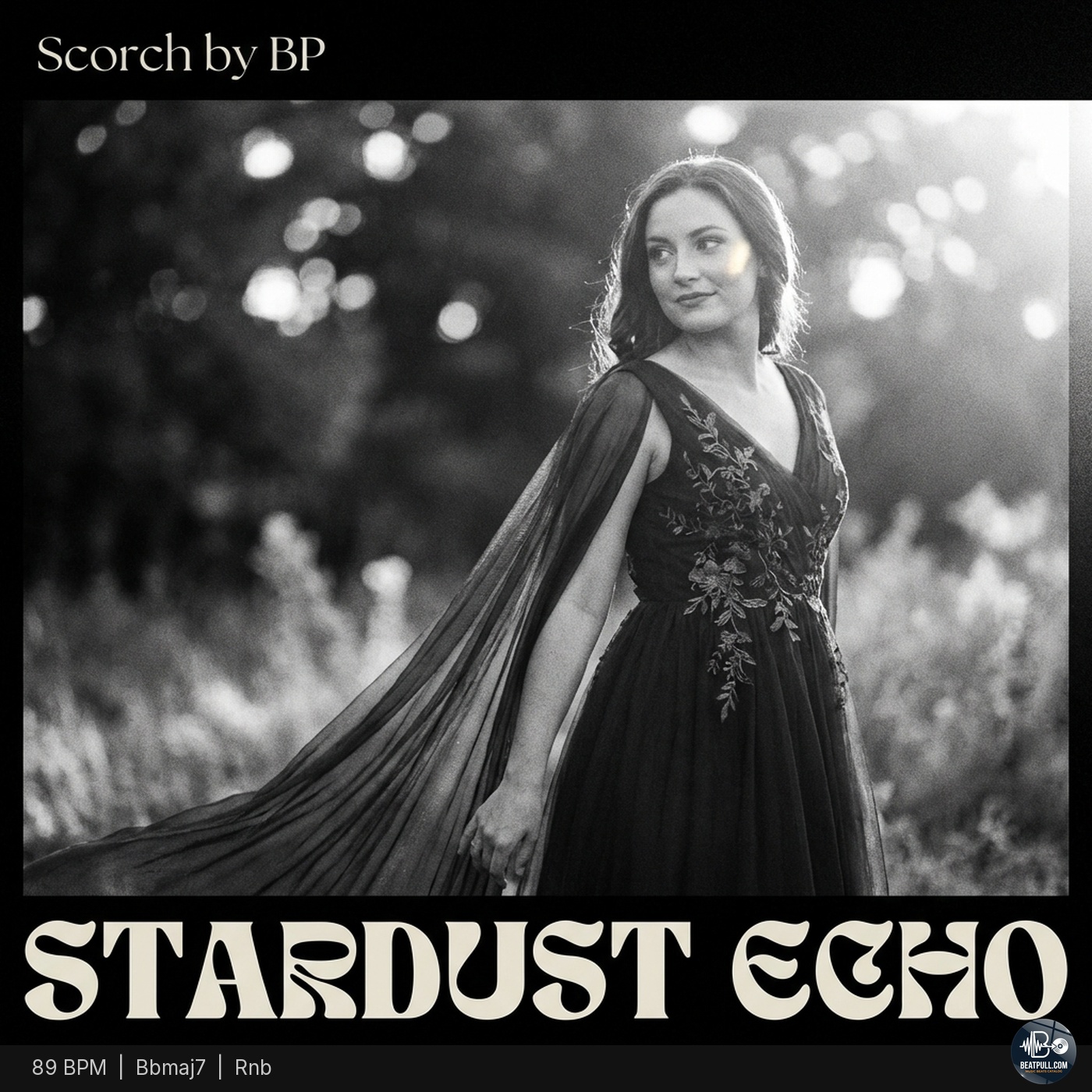Stardust Echo