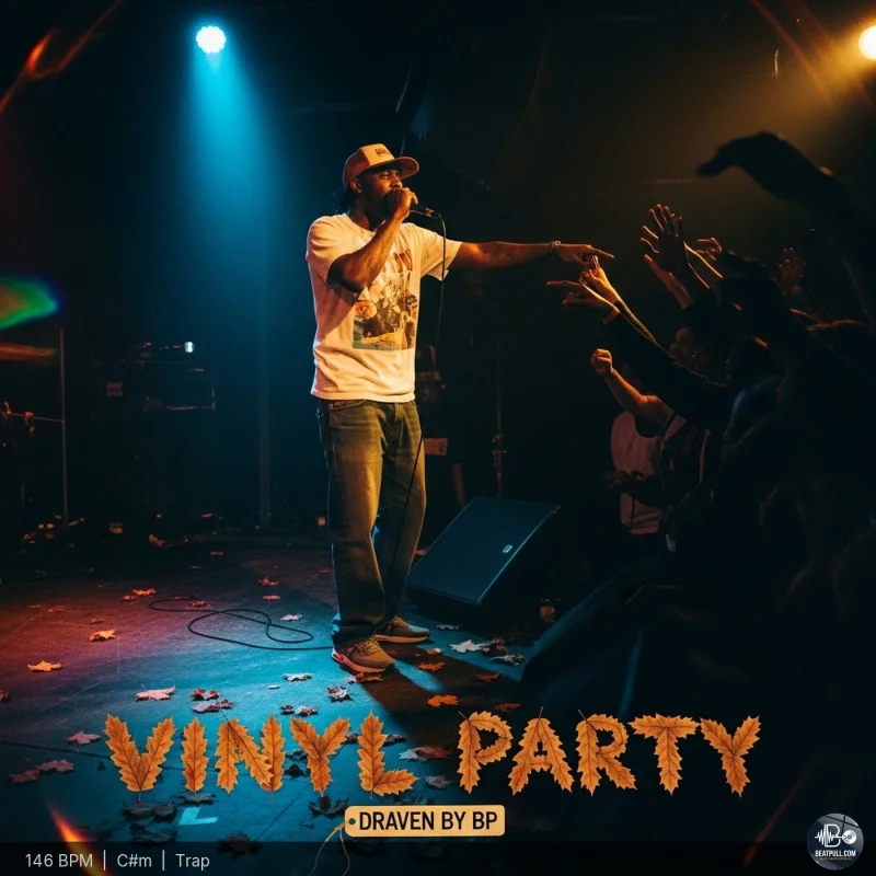 Vinyl Party