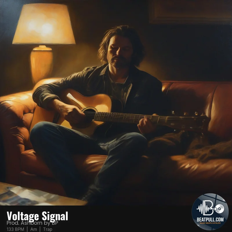 Voltage Signal