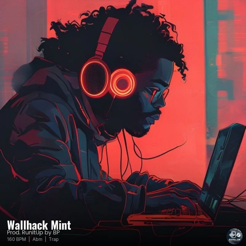 Wallhack Mint
