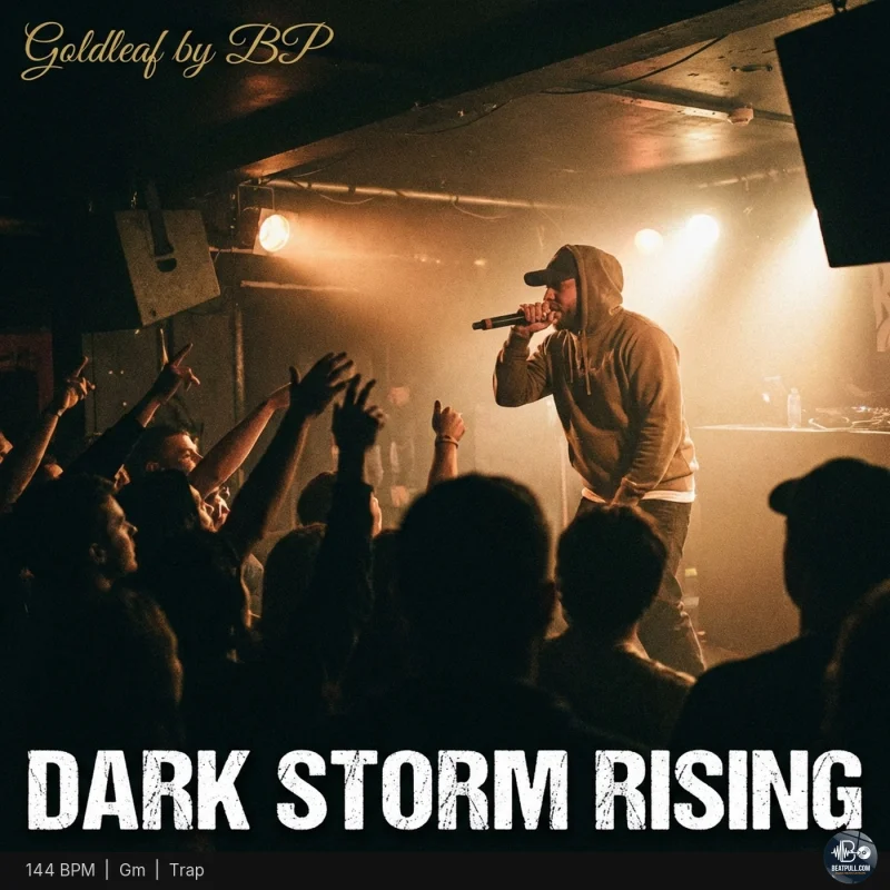 Dark Storm Rising