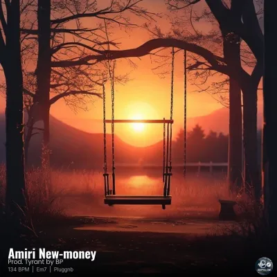 Amiri New-money