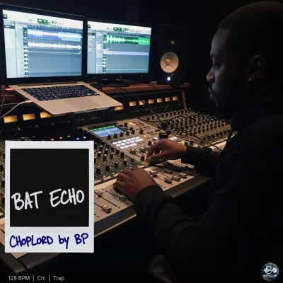 Bat Echo