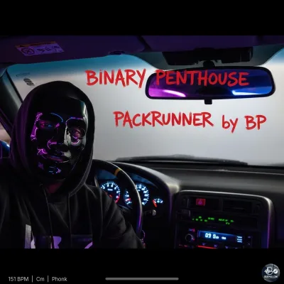 Binary Penthouse