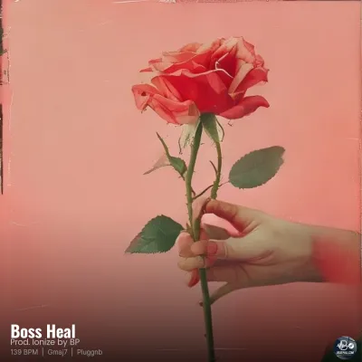 Boss Heal