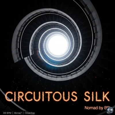 Circuitous Silk