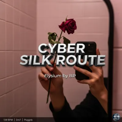 Cyber Silk Route