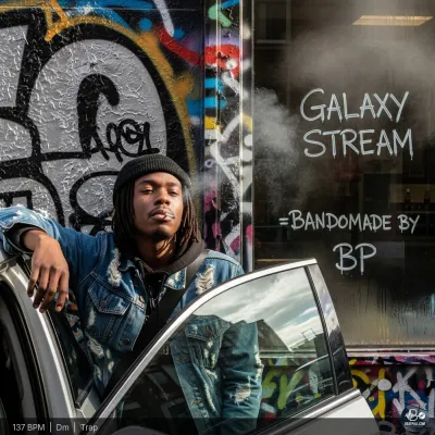 Galaxy Stream