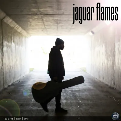 Jaguar Flames