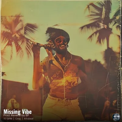 Missing Vibe