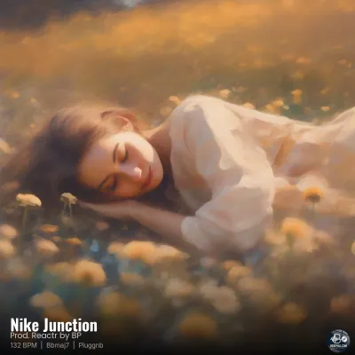 Nike Junction