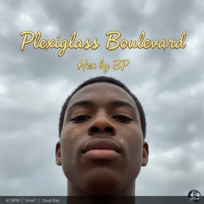 Plexiglass Boulevard