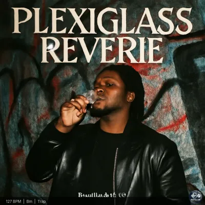 Plexiglass Reverie
