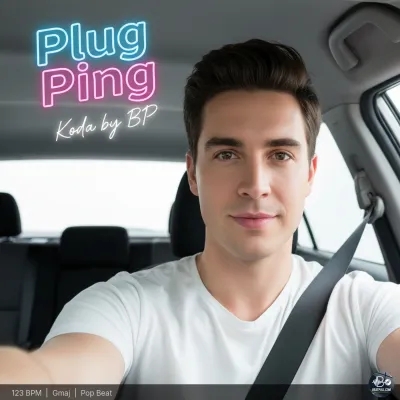 Plug Ping
