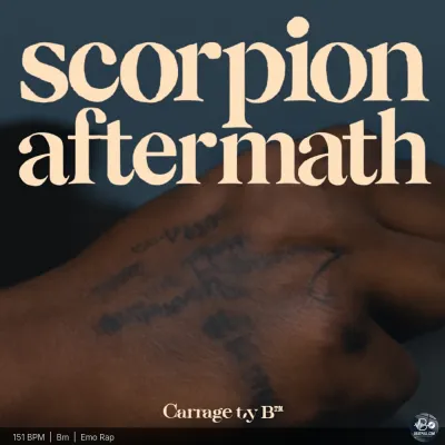 Scorpion Aftermath