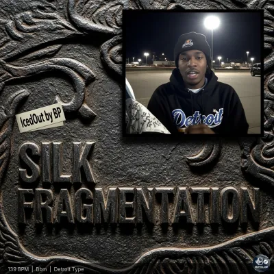 Silk Fragmentation