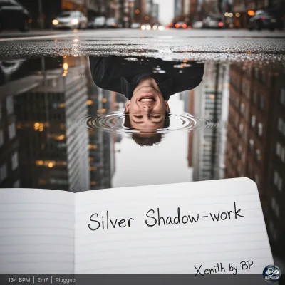 Silver Shadow-work