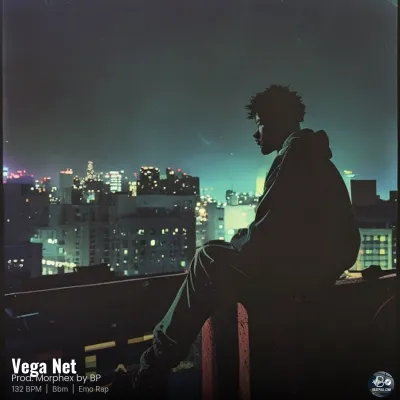 Vega Net