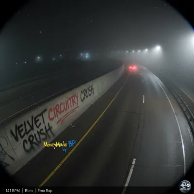 Velvet Circuitry Crush