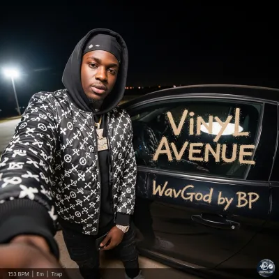 Vinyl Avenue