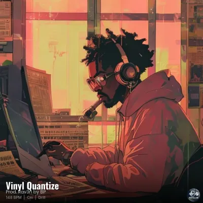 Vinyl Quantize