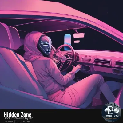 Hidden Zone