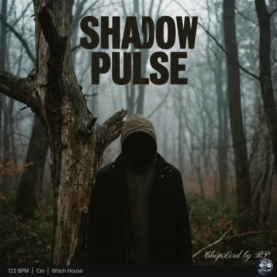Shadow Pulse